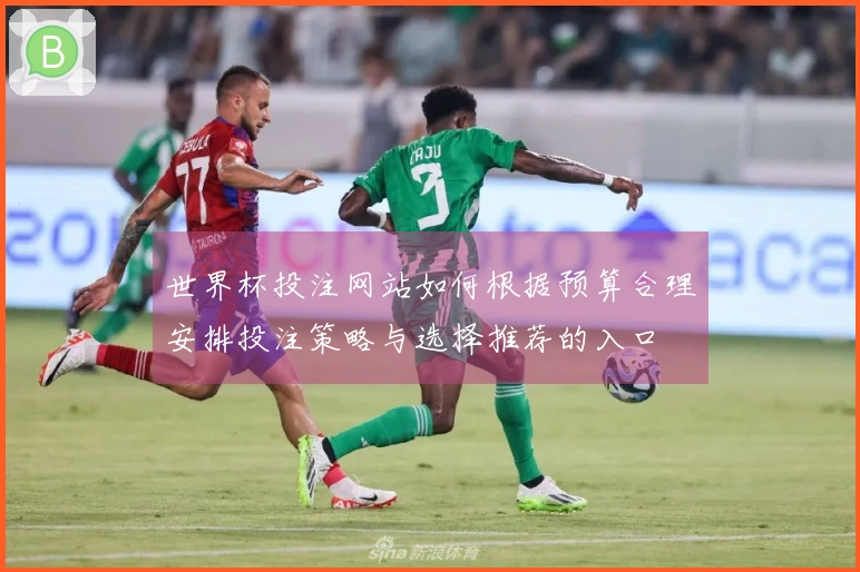 世界杯投注网站如何根据预算合理安排投注策略与选择推荐的入口
