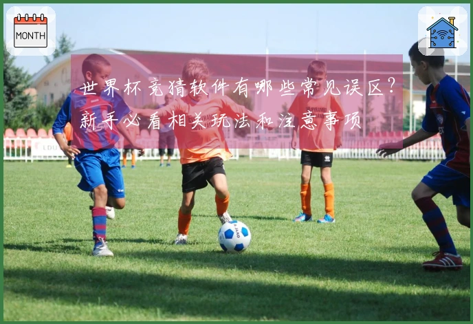世界杯竞猜软件有哪些常见误区？新手必看相关玩法和注意事项