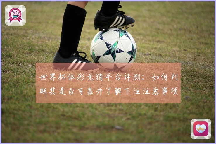 世界杯体彩竞猜平台评测：如何判断其是否可靠并了解下注注意事项