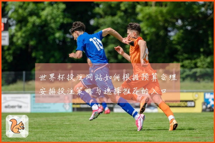 世界杯投注网站如何根据预算合理安排投注策略与选择推荐的入口