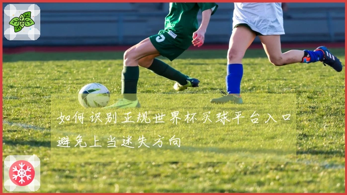 如何识别正规世界杯买球平台入口避免上当迷失方向