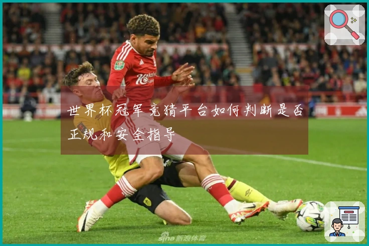 世界杯冠军竞猜平台如何判断是否正规和安全指导